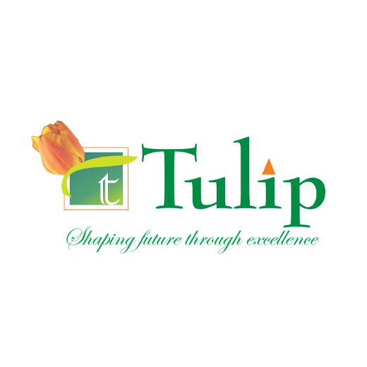 Tulip